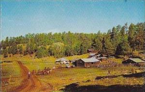 Arizona Springerville Wiltbanks Sprucedale Ranch