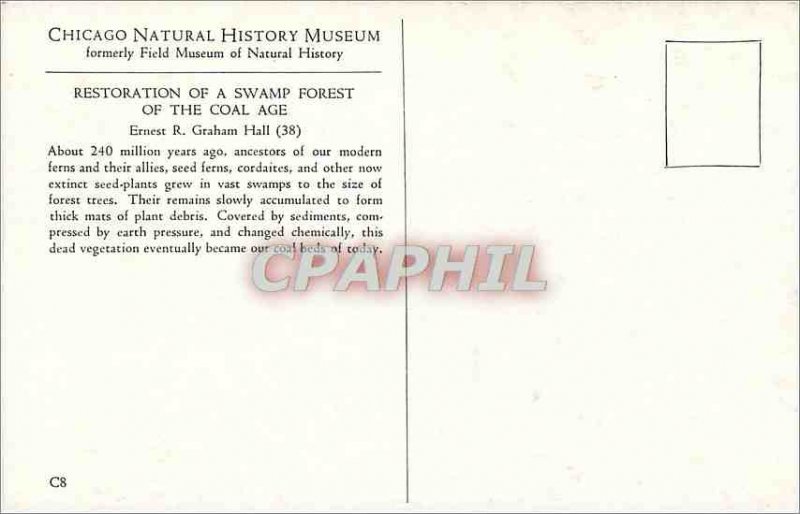 Modern Postcard Chicago Natural History Museum Formely Field Museum of Natura...