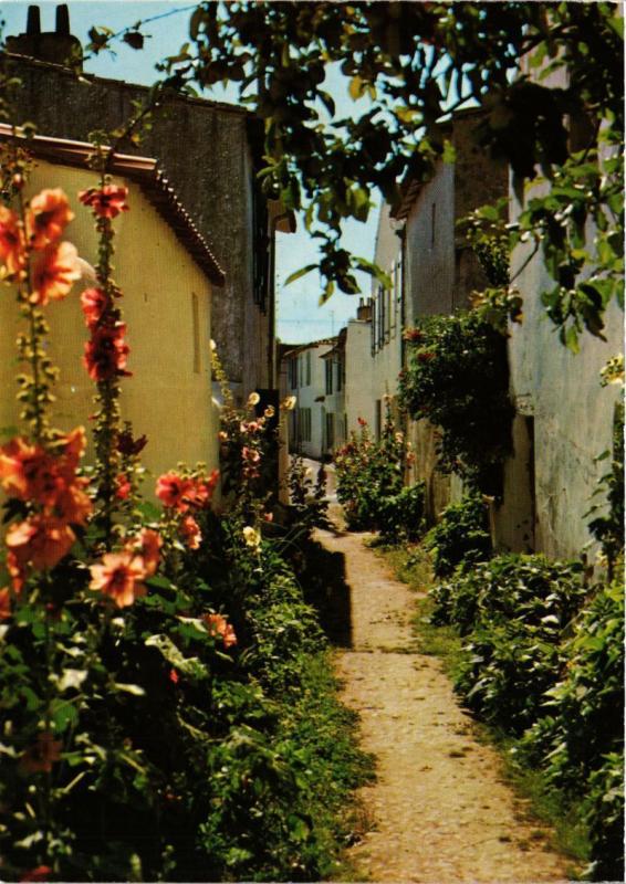 CPM ILE-de-RÉ - ARS - Jolie venelle en fleurs (216196)