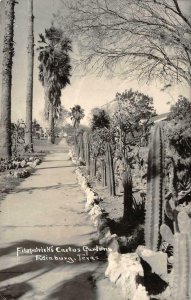 RPPC Fitzpatrick's Cactus Gardens, Edinburg, Texas c1930s Vintage Photo Postcard