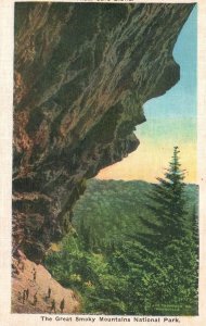 Vintage Postcard Great Smoky Mountain National Park Bet. North Carolina & TN