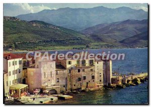 Postcard Modern Saint Florent Old Navy I'Hotel Appearance From the oleanders