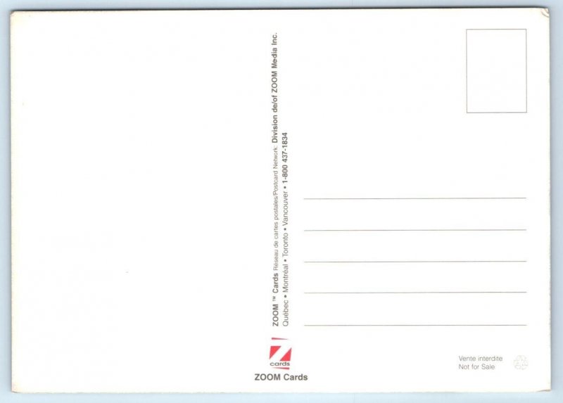 TORONTO, Ontario Canada ~ EIN-STEIN CAFE & PUB Albert Einstein 4x6  Postcard