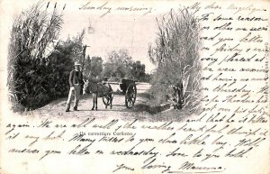 ac8784 - GREECE - VINTAGE POSTCARD - Corfou