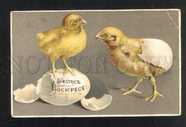 045071 Emossed EASTER Chickens in Eggs vintage RUSSIAN PC