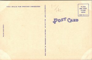 State Capitol Raleigh NC North Carolina Linen Postcard VTG UNP Tichnor Vintage 