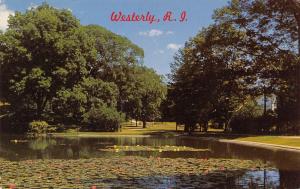 Westerly Rhode Island~Wilcox Park~Lily Pond~Water Lilies Float~1960s Postcard