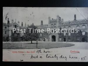 c1902 - Trinity College, New Court, Cambridge - Undivided Back