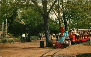 1960s Miniature Railroad Zoo Forest Park Illinois Postcard 8996