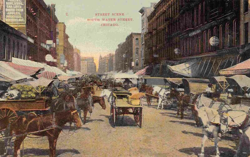 South Water Street Market Wagons Chicago Illinois 1910c postcard