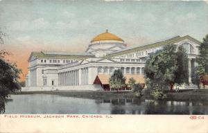 Chicago Illinois~Jackson Park Field Museum~Pond in Front~c1910 Postcard
