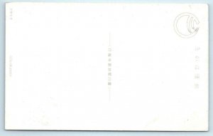 AICHI, JAPAN ~ Toyokawa Kaku MYOGONJI TEMPLE Beautiful Vintage Postcard