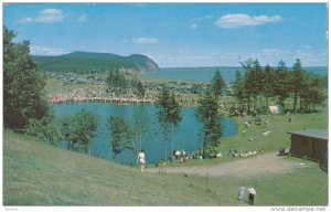 Canada's Motourland, Trees, Mountain, Fundy Park, New Brunswick,Canada, PU-1974