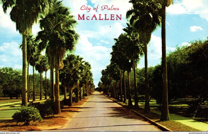 Texas McAllen City Of Palms