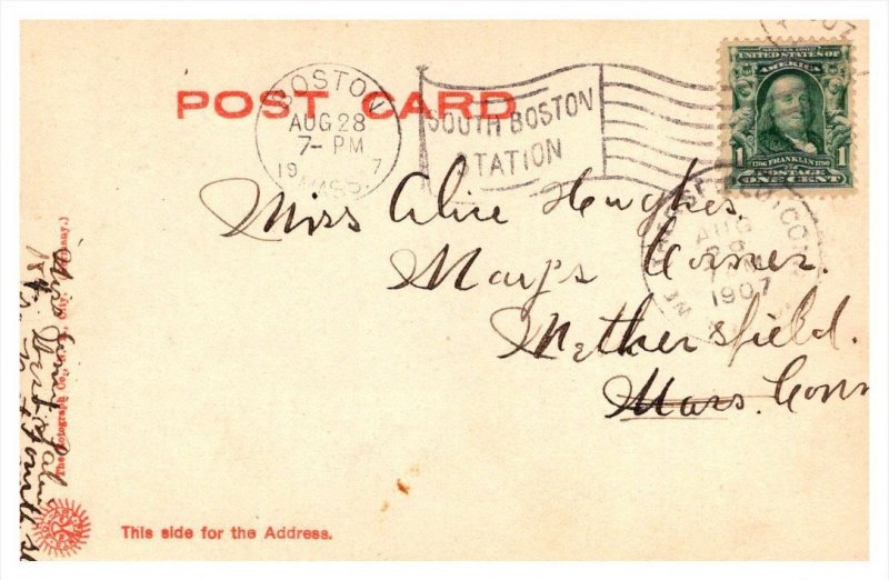 Massachusetts   Cambridge   Washington Elm