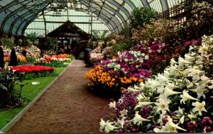 Illinois Chicago Garfield Park Consrvatory Spring and Easter Flower Show 1962