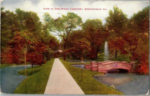 View in Oak Ridge Cemetery, Springfield IL c1913 Vintage Postcard C02