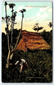 Panama  Wild Natives and Their Home  Postcard  1915