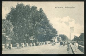 dc1460 - INDONESIA Weltevreden Postcard 1910s Dutch East Indies. Molenvliet