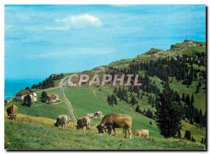 Postcard Modern und Rigi Staffel Rigi Kulm