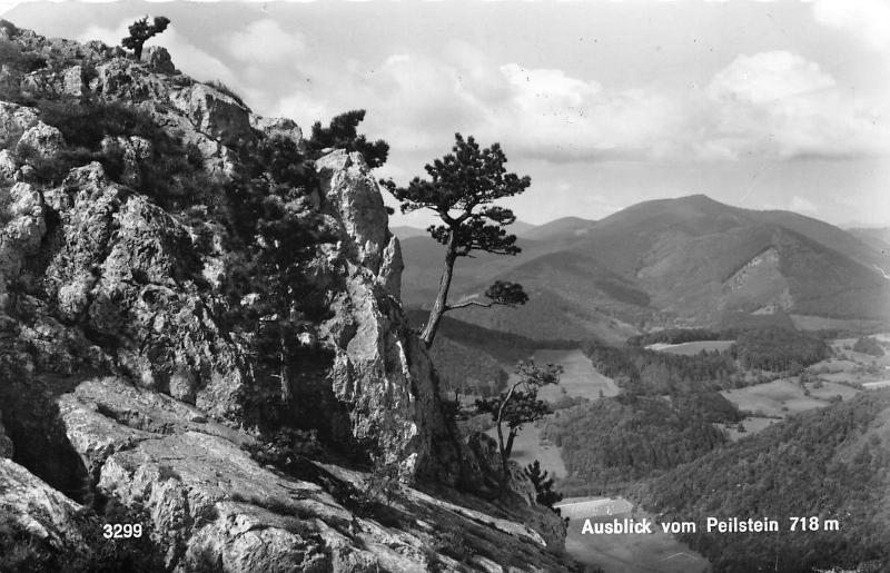 BG30229 ausblick vom peilstein   austria  CPSM 14x9cm