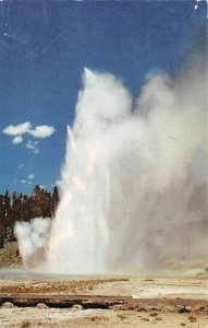 Grand Geyser Yellowstone National Park, Wyoming, USA