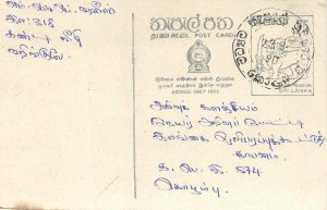 Entier Postal Stationery Postal Sri Lanka Ceylon Lion