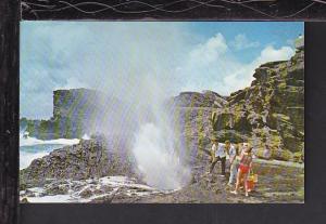 Blow Hole,Oahu,HI Postcard BIN 