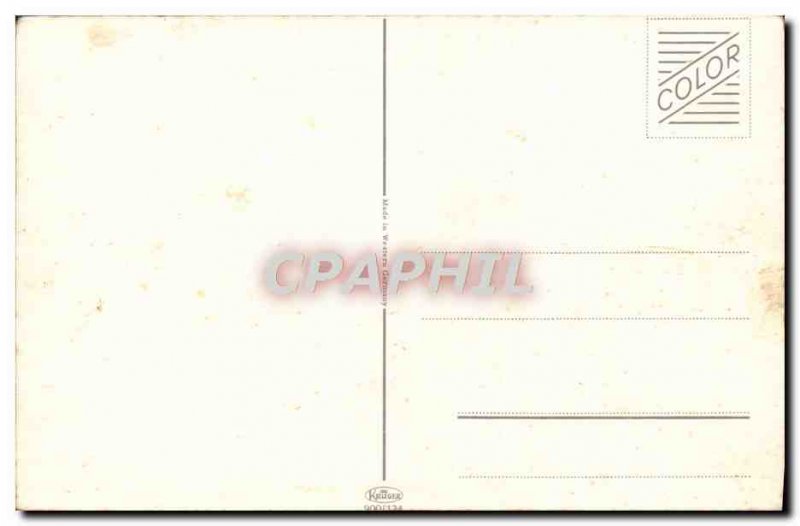 Modern Postcard Flamingos