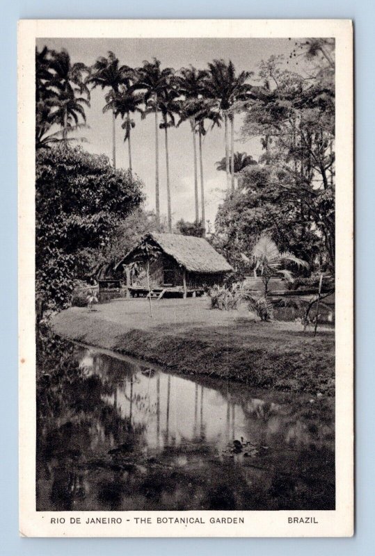 Botanical Garden Rio De Janeiro Brazil UNP Unused WB Postcard M2