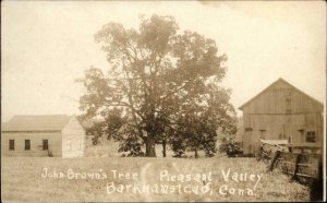 Barkhamsted Pleasant Valley Connecticut John Brown Tree Real Photo Postcard