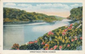 Greetings from Homer NY, New York - Flowers along some River - WB