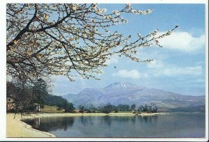 Scotland Postcard - Loch Lomond and Ben Lomond from Luss, Dunbartonshire  AB515