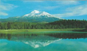 Mt. Shasta, Lake Shastina, California Chrome Postcard