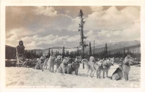 J68/ Alaska RPPC Postcard c1940s Sled Dog Team Musher 23