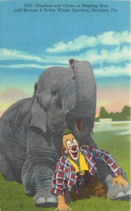 Postcard Florida Elephant Clown Ringling Bros Barnum Baileyl Teich 23-4878