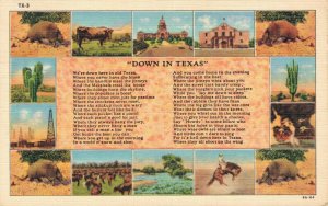 USA Down In Texas Linen Vintage Postcard 06.44