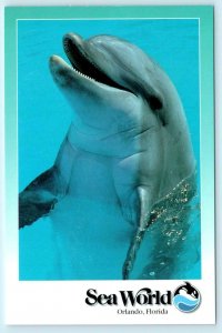 3 Postcards ORLANDO, Florida FL ~ SEA WORLD Dolphin, Manatee, Walrus ~ 4x6 