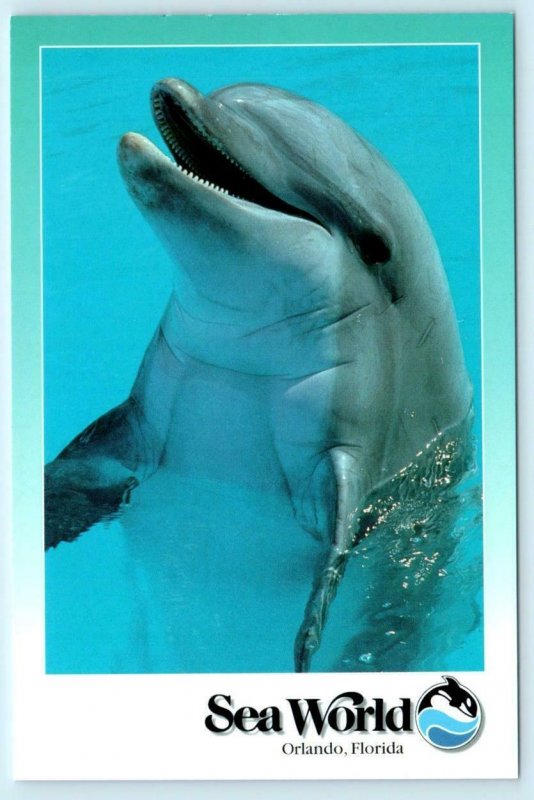 3 Postcards ORLANDO, Florida FL ~ SEA WORLD Dolphin, Manatee, Walrus ~ 4x6 