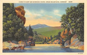 Green Mountains Vermont 1940s Postcard Camel's Hump and Winooski River