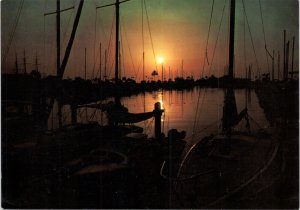 Postcard FL - Sunrise at St. Petersburg Yacht Basin