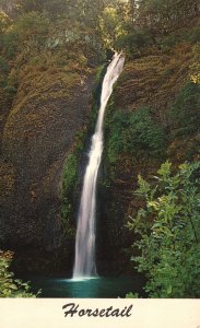 Vintage Postcard Horsetail Falls High Waterfalls Columbia River Highway Oregon