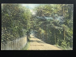 Berkshire Reading CAVERSHAM The Warren c1905 Postcard by MJRB