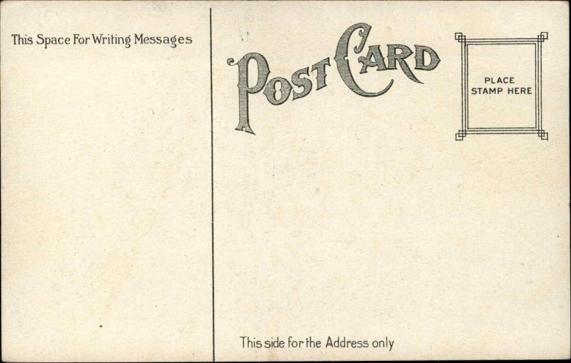 Kingston NY Point Park Ferris Wheel c1910 Postcard 