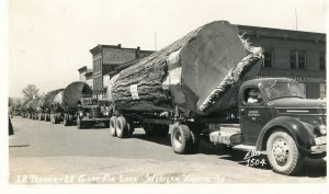 Postcard RPPC View of Trucks Hauling Giant Fir Logs in Western Washington.   aa6