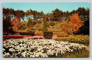 Rock Garden in Royal Botanical Gardens HAMILTON Ontario VINTAGE Postcard 0648