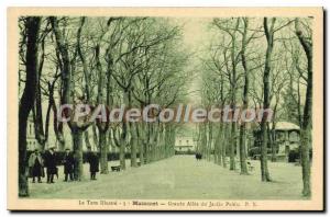 Postcard Old Tarn Mazamet Grand Allee illustrates the Public Garden