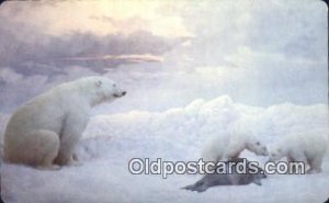 Artic Alaska Polar Bear Unused 