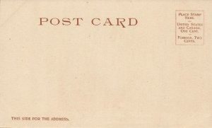 cuba, HAVANA, Palacio del Gobierno General (1900) Private Mailing Card Postcard