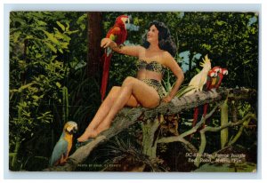 1951 Lady Holding Parrot, The Parrot Jungle, Red Road Miami Florida FL Postcard